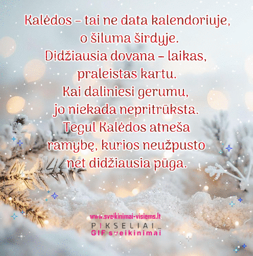 Kalėdos 1