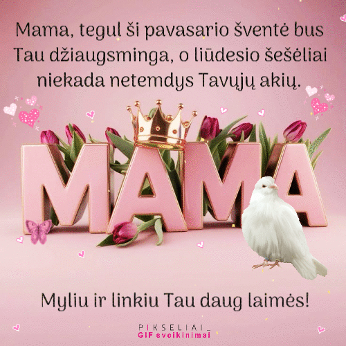 Mamos diena 7