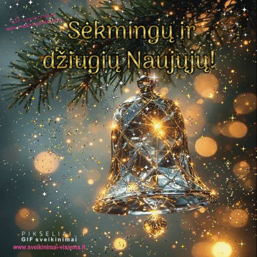 Nauji metai 2