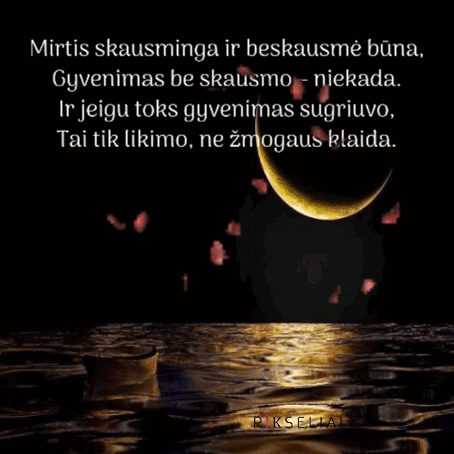 Užuojauta 2