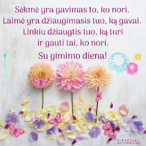 Gimtadienio 31