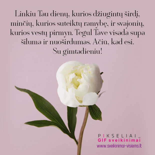 Gimtadienio 39