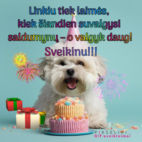 Gimtadienio 26