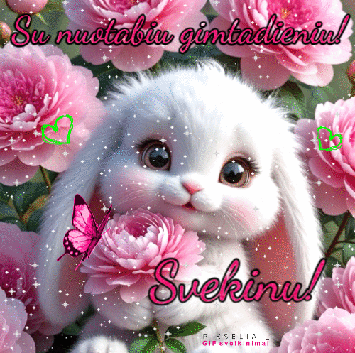 Gimtadienio 42