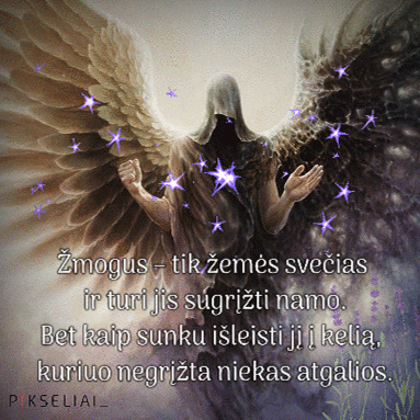 Uzuojauta 2