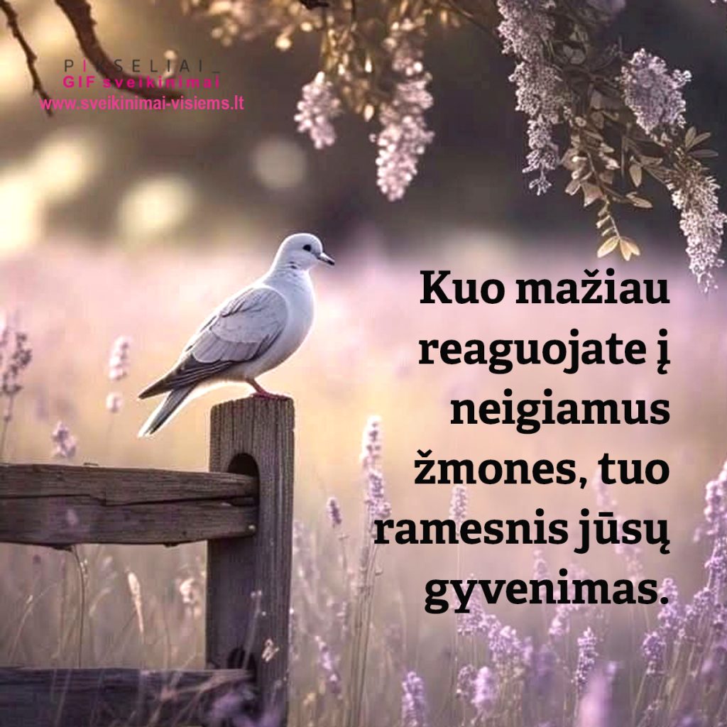 posakis 057