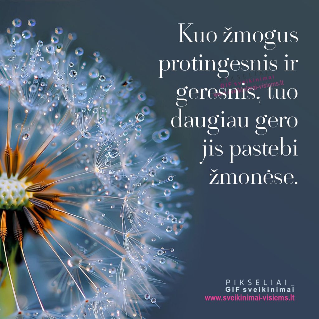 posakis 055