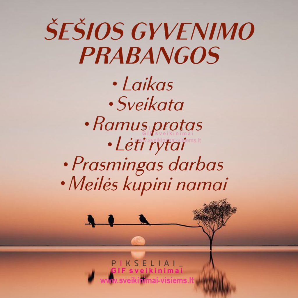 posakis 017