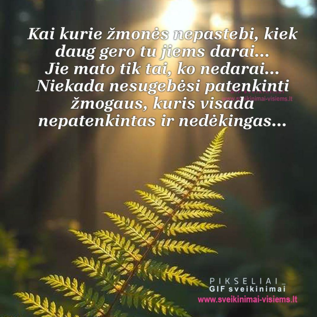 posakis 038
