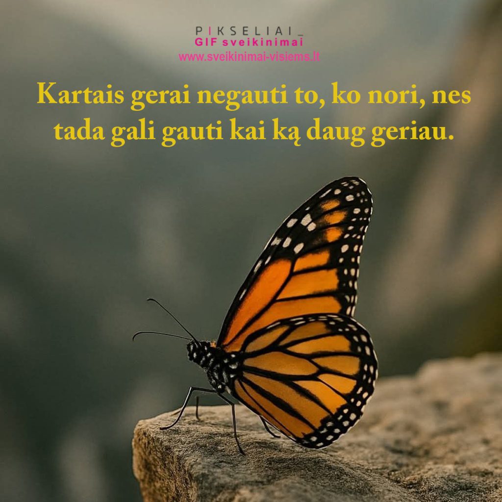 posakis 044