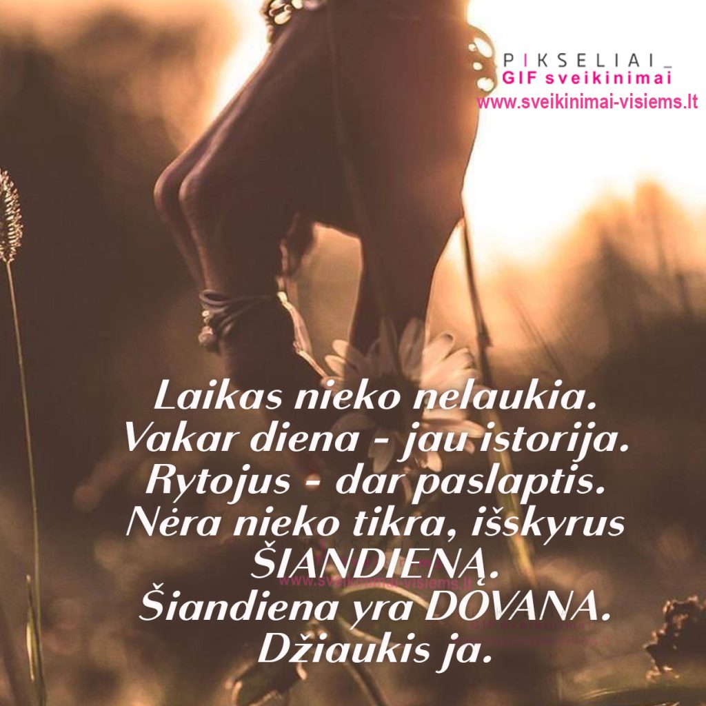 posakis 054
