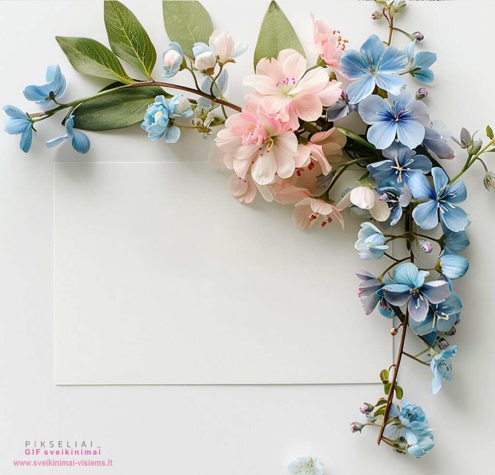 sablonas26