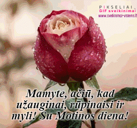 Mama3